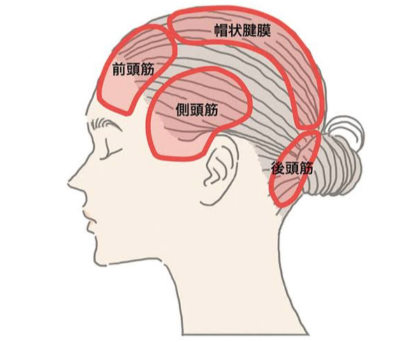 hair sap Luster(ラスター)